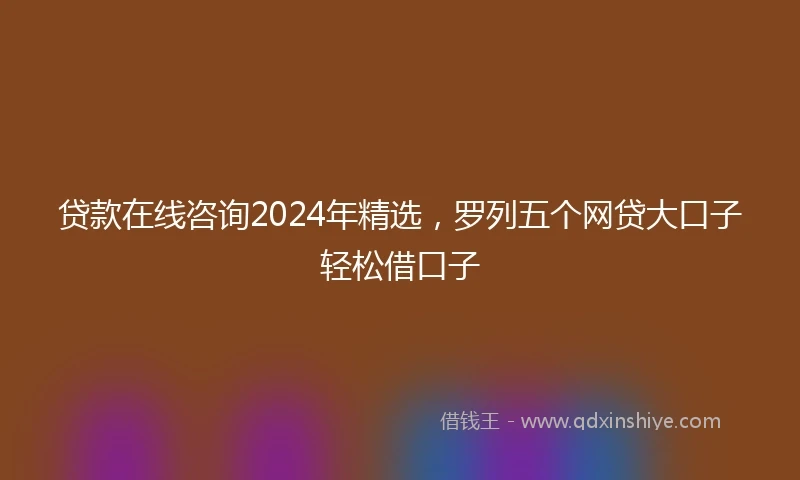 贷款在线咨询2024年精选，罗列五个网贷大口子轻松借口子