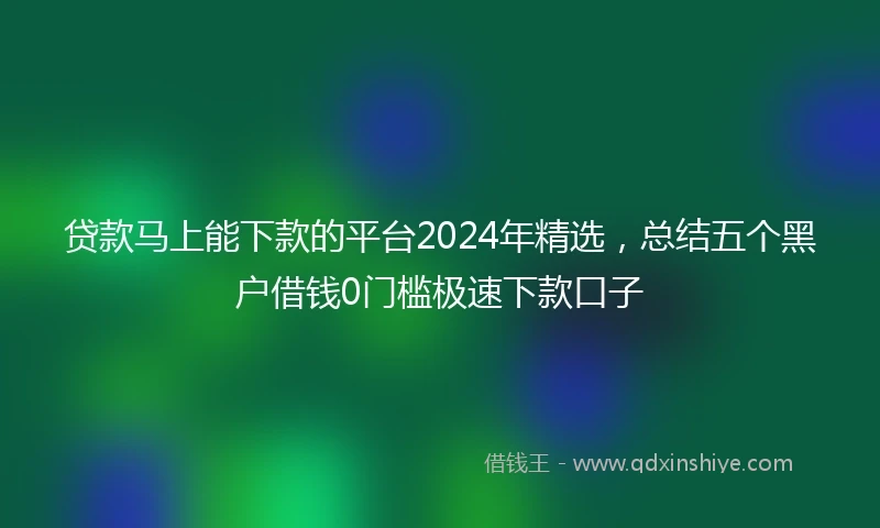 贷款马上能下款的平台2024年精选，总结五个黑户借钱0门槛极速下款口子