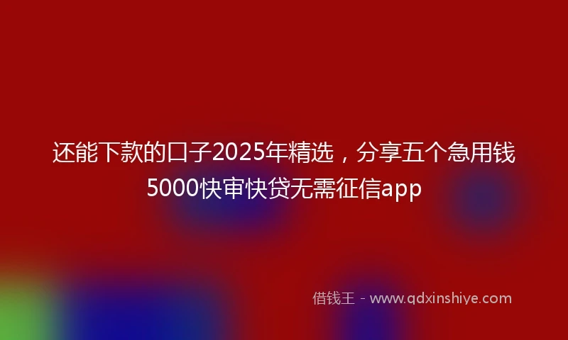 还能下款的口子2025年精选，分享五个急用钱5000快审快贷无需征信app