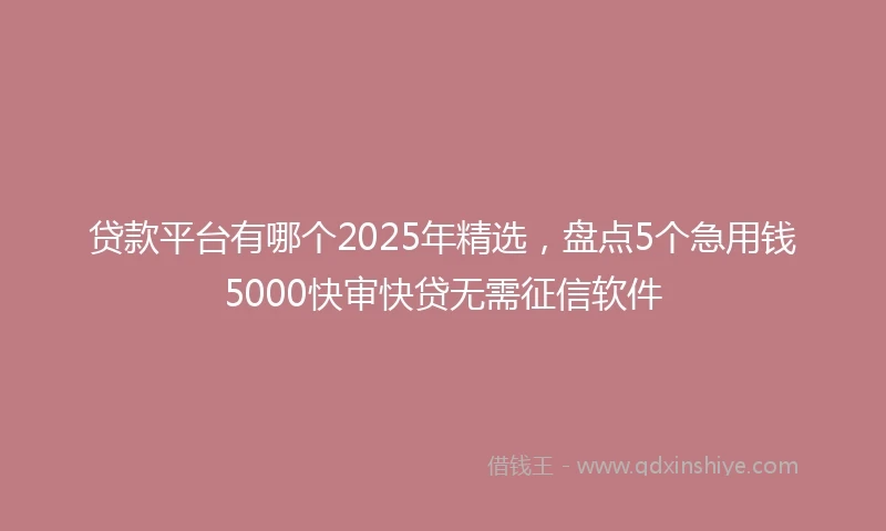 贷款平台有哪个2025年精选，盘点5个急用钱5000快审快贷无需征信软件