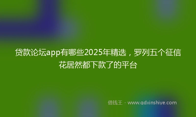 贷款论坛app有哪些2025年精选，罗列五个征信花居然都下款了的平台
