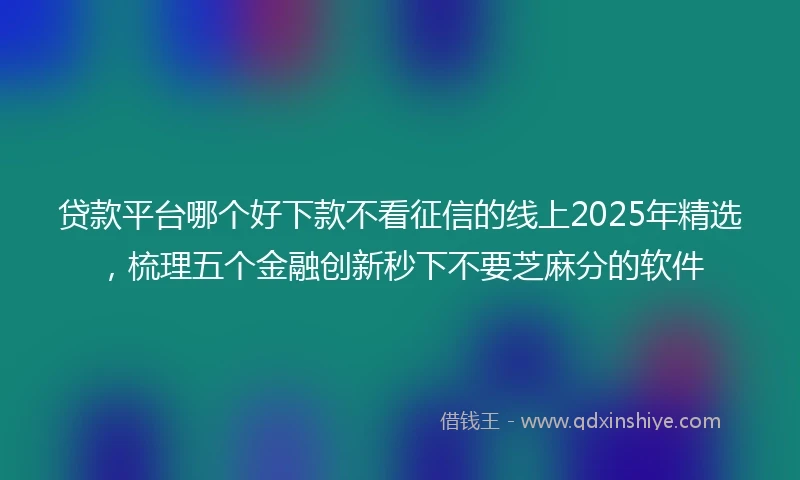 贷款平台哪个好下款不看征信的线上2025年精选，梳理五个金融创新秒下不要芝麻分的软件