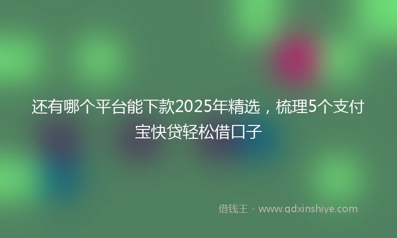 还有哪个平台能下款2025年精选，梳理5个支付宝快贷轻松借口子