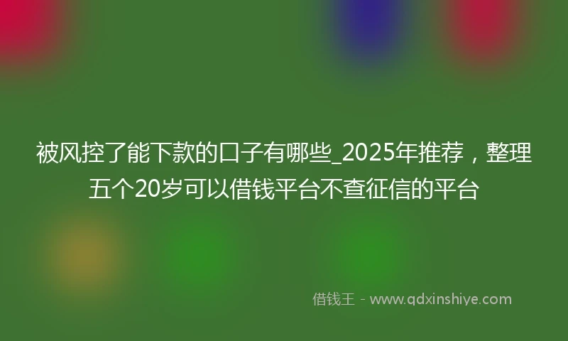 被风控了能下款的口子有哪些_2025年推荐，整理五个20岁可以借钱平台不查征信的平台
