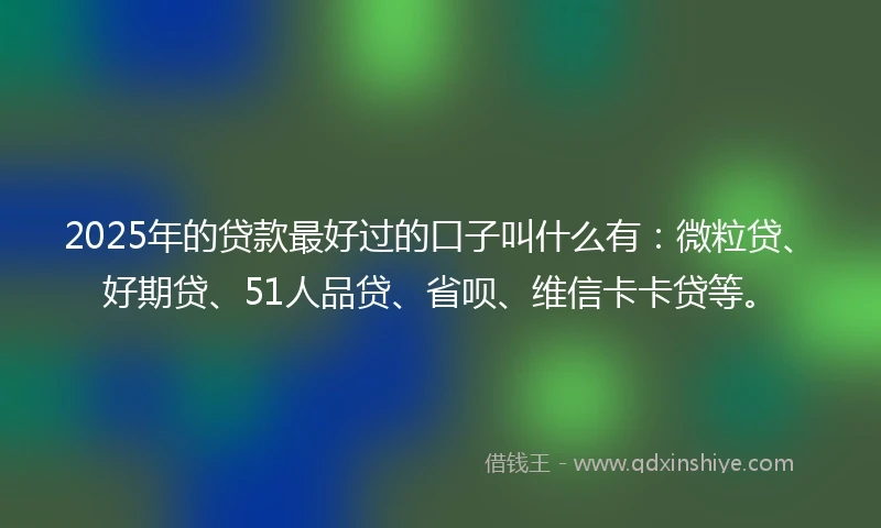 2025年的贷款最好过的口子叫什么有：微粒贷、好期贷、51人品贷、省呗、维信卡卡贷等。