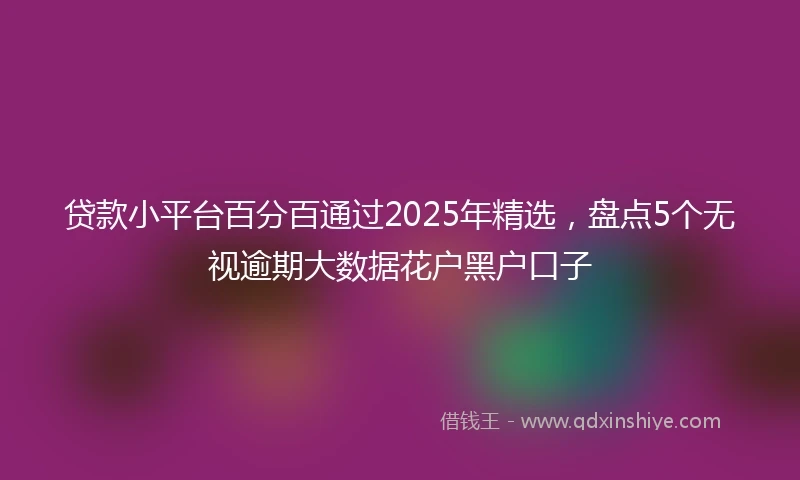 贷款小平台百分百通过2025年精选，盘点5个无视逾期大数据花户黑户口子