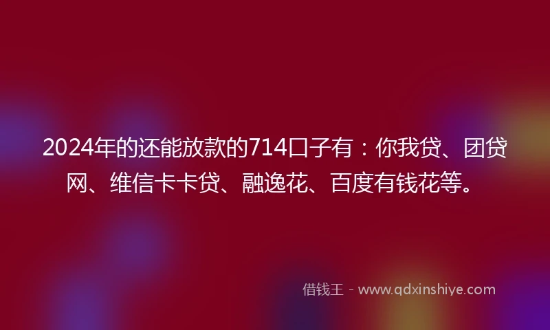 2024年的还能放款的714口子有：你我贷、团贷网、维信卡卡贷、融逸花、百度有钱花等。