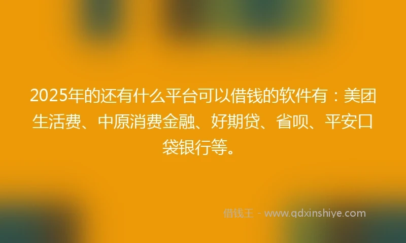 2025年的还有什么平台可以借钱的软件有：美团生活费、中原消费金融、好期贷、省呗、平安口袋银行等。