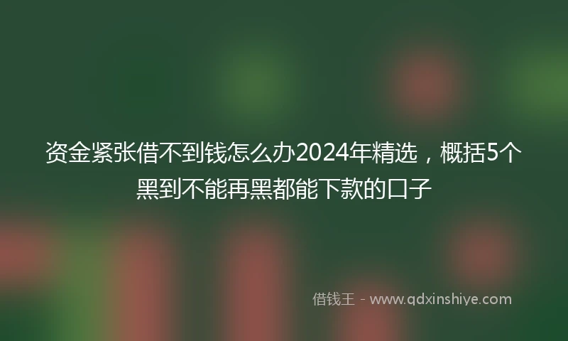 资金紧张借不到钱怎么办2024年精选，概括5个黑到不能再黑都能下款的口子