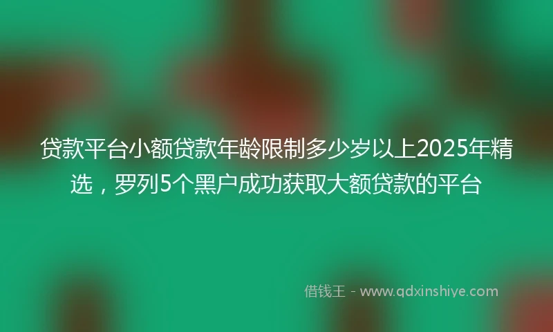 贷款平台小额贷款年龄限制多少岁以上2025年精选，罗列5个黑户成功获取大额贷款的平台