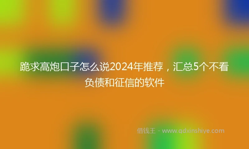 跪求高炮口子怎么说2024年推荐，汇总5个不看负债和征信的软件