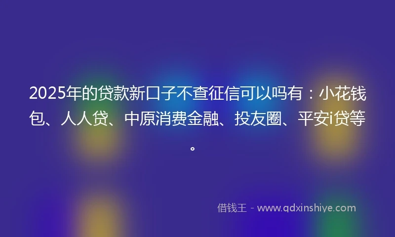 2025年的贷款新口子不查征信可以吗有：小花钱包、人人贷、中原消费金融、投友圈、平安i贷等。