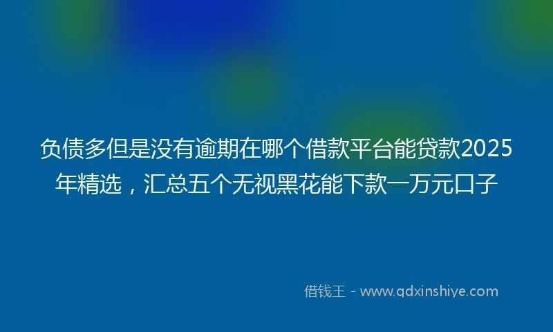 负债多但是没有逾期在哪个借款平台能贷款2025年精选，汇总五个无视黑花能下款一万元口子