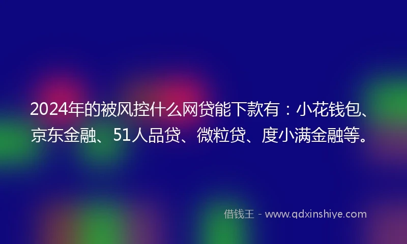 2024年的被风控什么网贷能下款有：小花钱包、京东金融、51人品贷、微粒贷、度小满金融等。