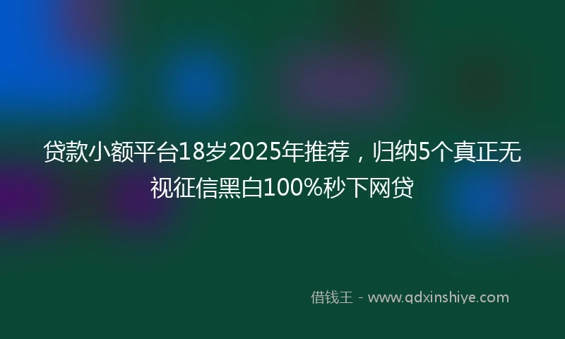 贷款小额平台18岁2025年推荐，归纳5个真正无视征信黑白100%秒下网贷