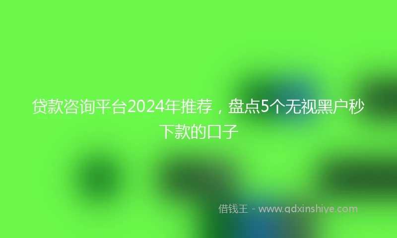 贷款咨询平台2024年推荐，盘点5个无视黑户秒下款的口子
