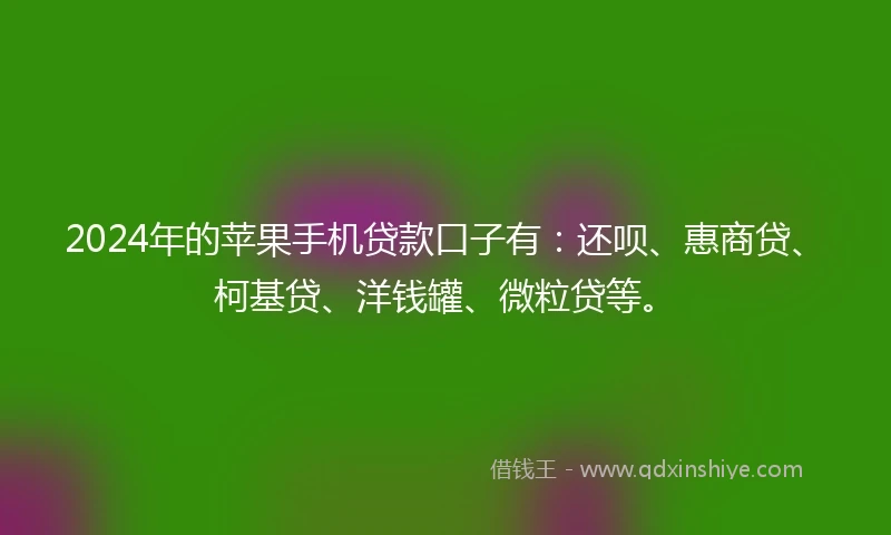 2024年的苹果手机贷款口子有：还呗、惠商贷、柯基贷、洋钱罐、微粒贷等。