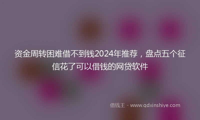 资金周转困难借不到钱2024年推荐，盘点五个征信花了可以借钱的网贷软件