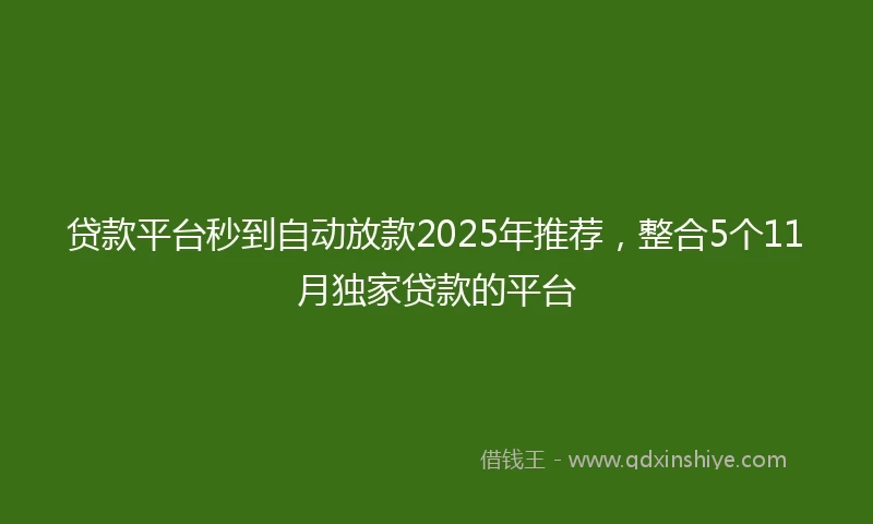 贷款平台秒到自动放款2025年推荐，整合5个11月独家贷款的平台