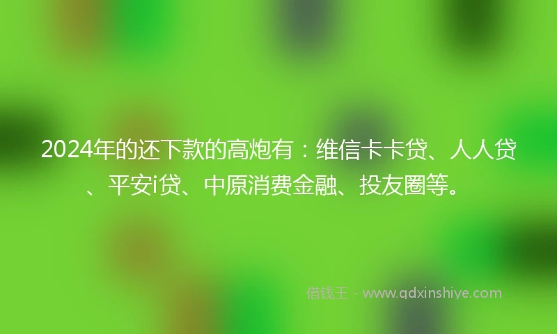 2024年的还下款的高炮有：维信卡卡贷、人人贷、平安i贷、中原消费金融、投友圈等。