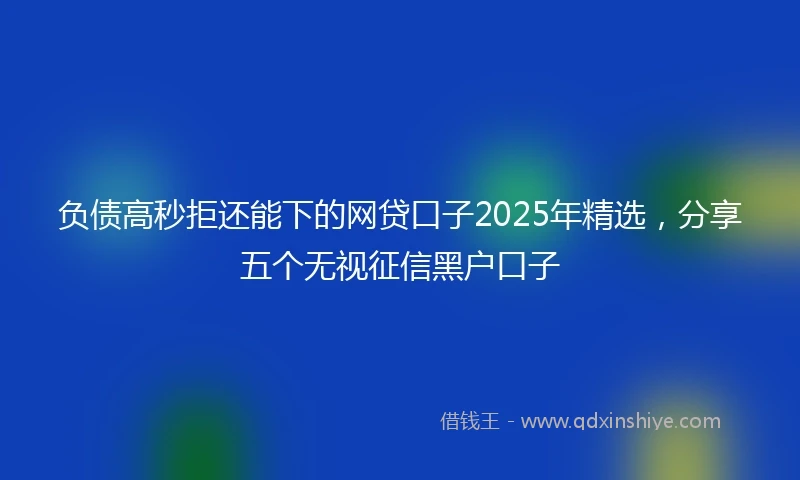 负债高秒拒还能下的网贷口子2025年精选，分享五个无视征信黑户口子
