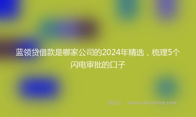 蓝领贷借款是哪家公司的2024年精选，梳理5个闪电审批的口子