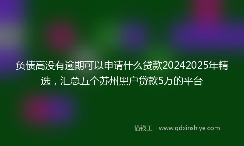 负债高没有逾期可以申请什么贷款20242025年精选，汇总五个苏州黑户贷款5万的平台