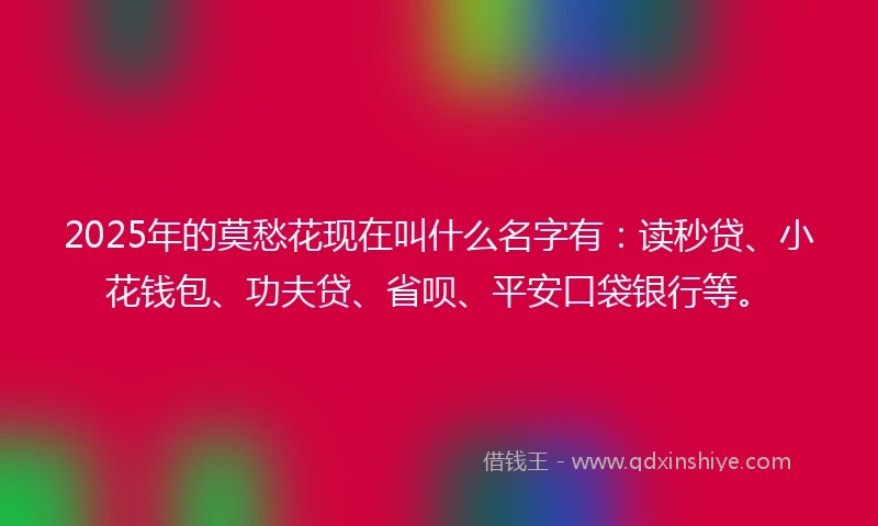 2025年的莫愁花现在叫什么名字有：读秒贷、小花钱包、功夫贷、省呗、平安口袋银行等。
