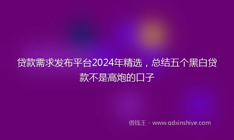 贷款需求发布平台2024年精选，总结五个黑白贷款不是高炮的口子