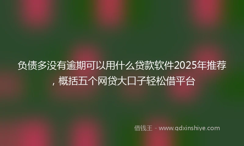 负债多没有逾期可以用什么贷款软件2025年推荐，概括五个网贷大口子轻松借平台