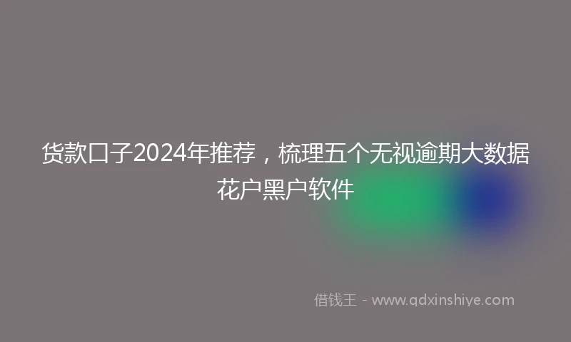货款口子2024年推荐，梳理五个无视逾期大数据花户黑户软件