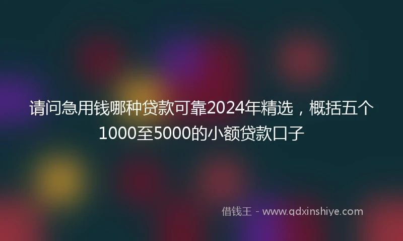 请问急用钱哪种贷款可靠2024年精选，概括五个1000至5000的小额贷款口子