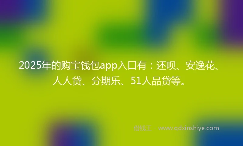2025年的购宝钱包app入口有：还呗、安逸花、人人贷、分期乐、51人品贷等。