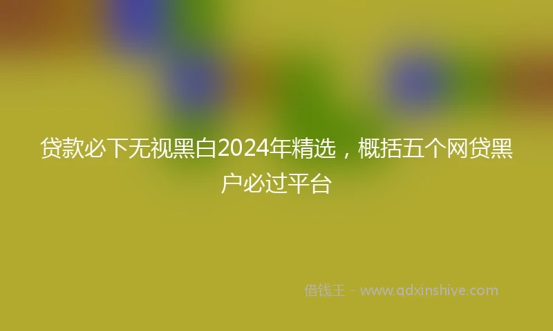 贷款必下无视黑白2024年精选，概括五个网贷黑户必过平台