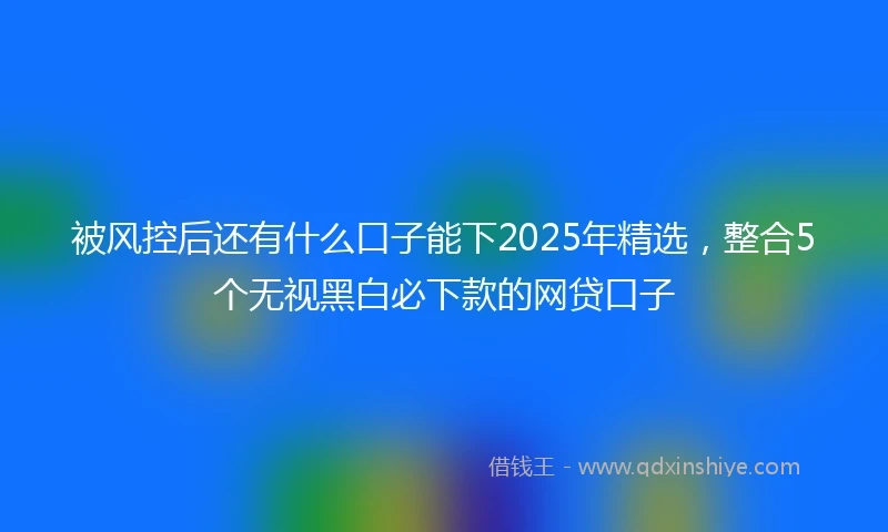被风控后还有什么口子能下2025年精选，整合5个无视黑白必下款的网贷口子