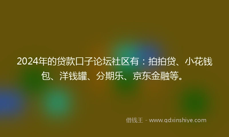 2024年的贷款口子论坛社区有：拍拍贷、小花钱包、洋钱罐、分期乐、京东金融等。