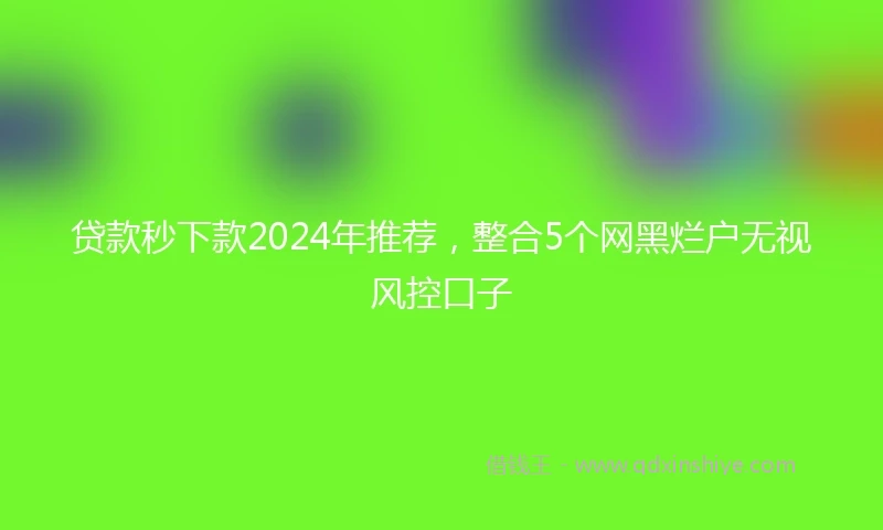 贷款秒下款2024年推荐,整合5个网黑烂户无视风控口子