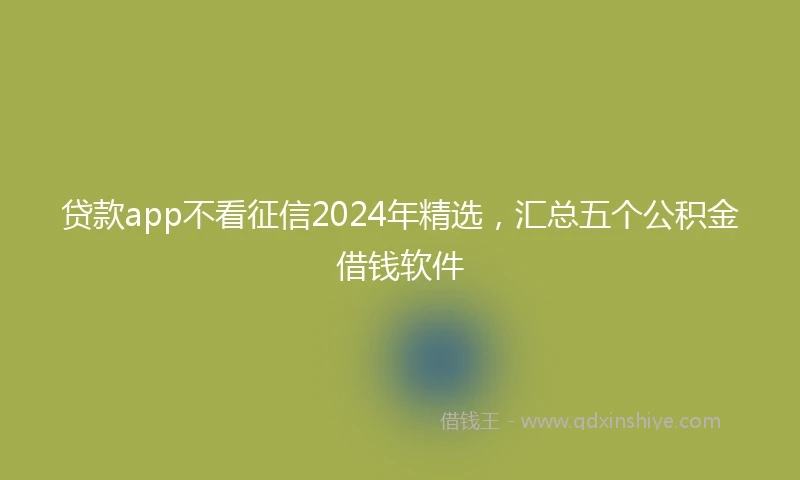 贷款app不看征信2024年精选，汇总五个公积金借钱软件