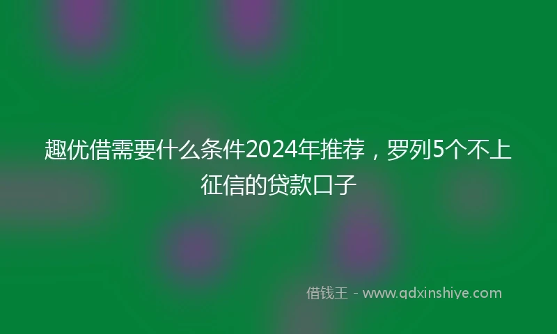 趣优借需要什么条件2024年推荐,罗列5个不上征信的贷款口子
