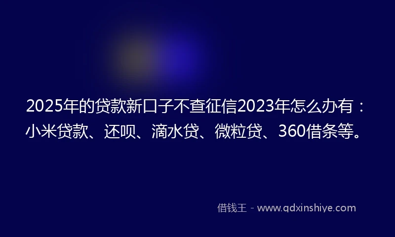 2025年的贷款新口子不查征信2023年怎么办有：小米贷款、还呗、滴水贷、微粒贷、360借条等。