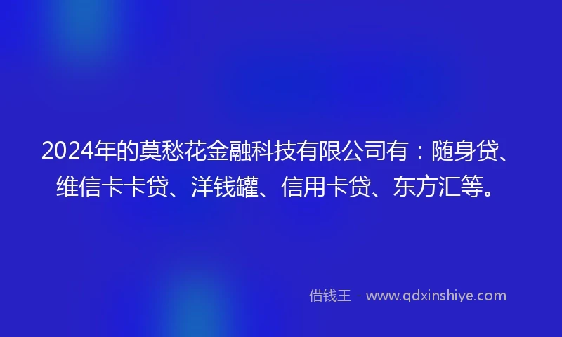 2024年的莫愁花金融科技有限公司有：随身贷、维信卡卡贷、洋钱罐、信用卡贷、东方汇等。
