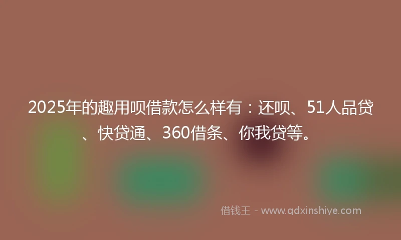 2025年的趣用呗借款怎么样有：还呗、51人品贷、快贷通、360借条、你我贷等。
