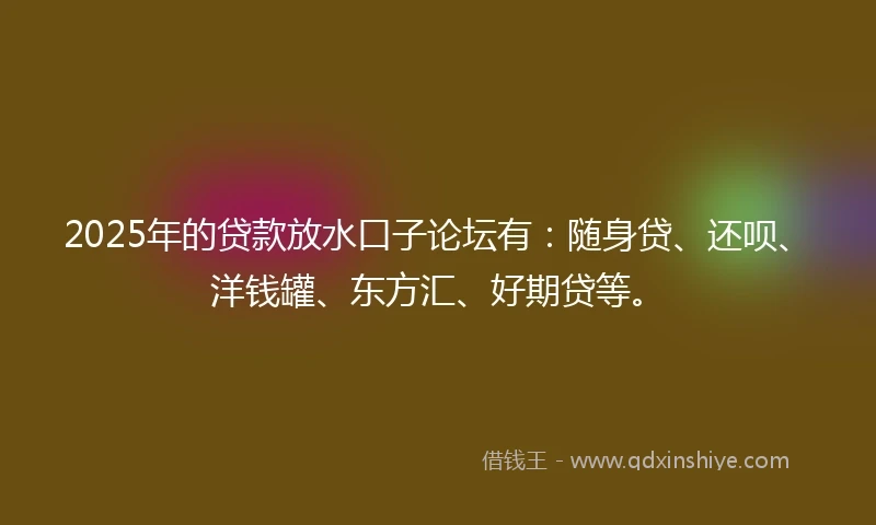 2025年的贷款放水口子论坛有：随身贷、还呗、洋钱罐、东方汇、好期贷等。