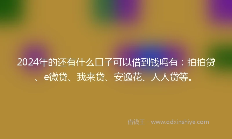 2024年的还有什么口子可以借到钱吗有：拍拍贷、e微贷、我来贷、安逸花、人人贷等。