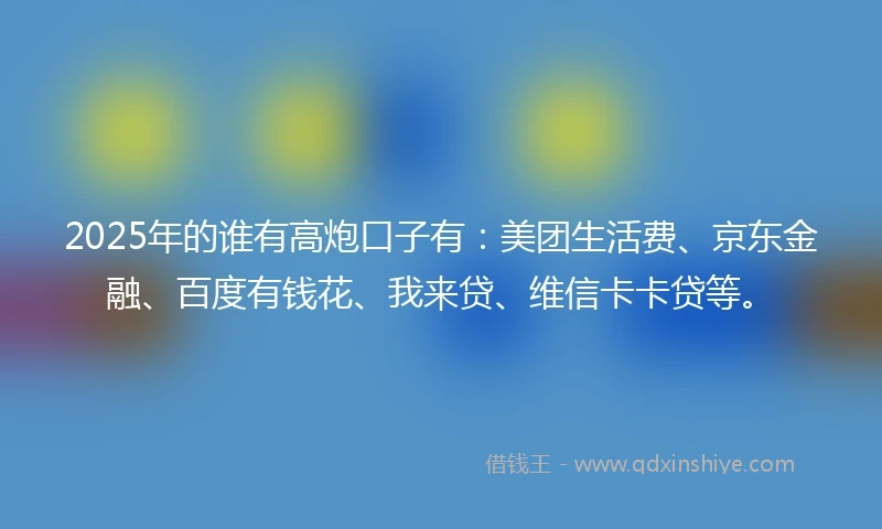 2025年的谁有高炮口子有：美团生活费、京东金融、百度有钱花、我来贷、维信卡卡贷等。