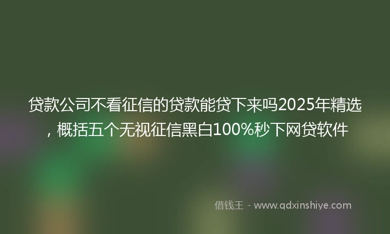 贷款公司不看征信的贷款能贷下来吗2025年精选，概括五个无视征信黑白100%秒下网贷软件