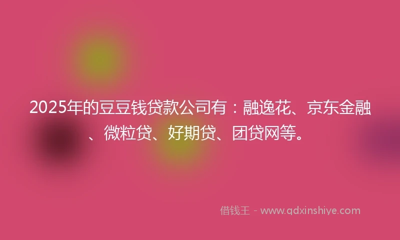 2025年的豆豆钱贷款公司有：融逸花、京东金融、微粒贷、好期贷、团贷网等。