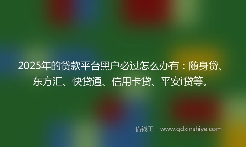 2025年的贷款平台黑户必过怎么办有：随身贷、东方汇、快贷通、信用卡贷、平安i贷等。