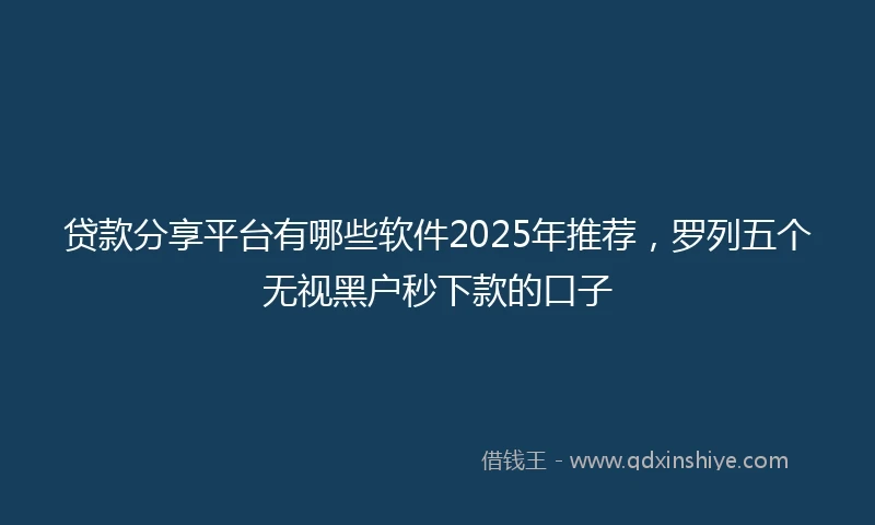 贷款分享平台有哪些软件2025年推荐，罗列五个无视黑户秒下款的口子