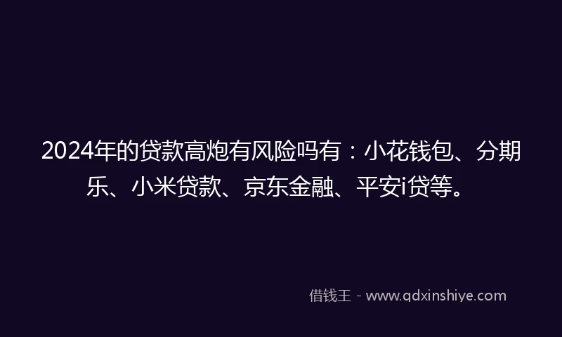 2024年的贷款高炮有风险吗有:小花钱包、分期乐、小米贷款、京东金融、平安i贷等。
